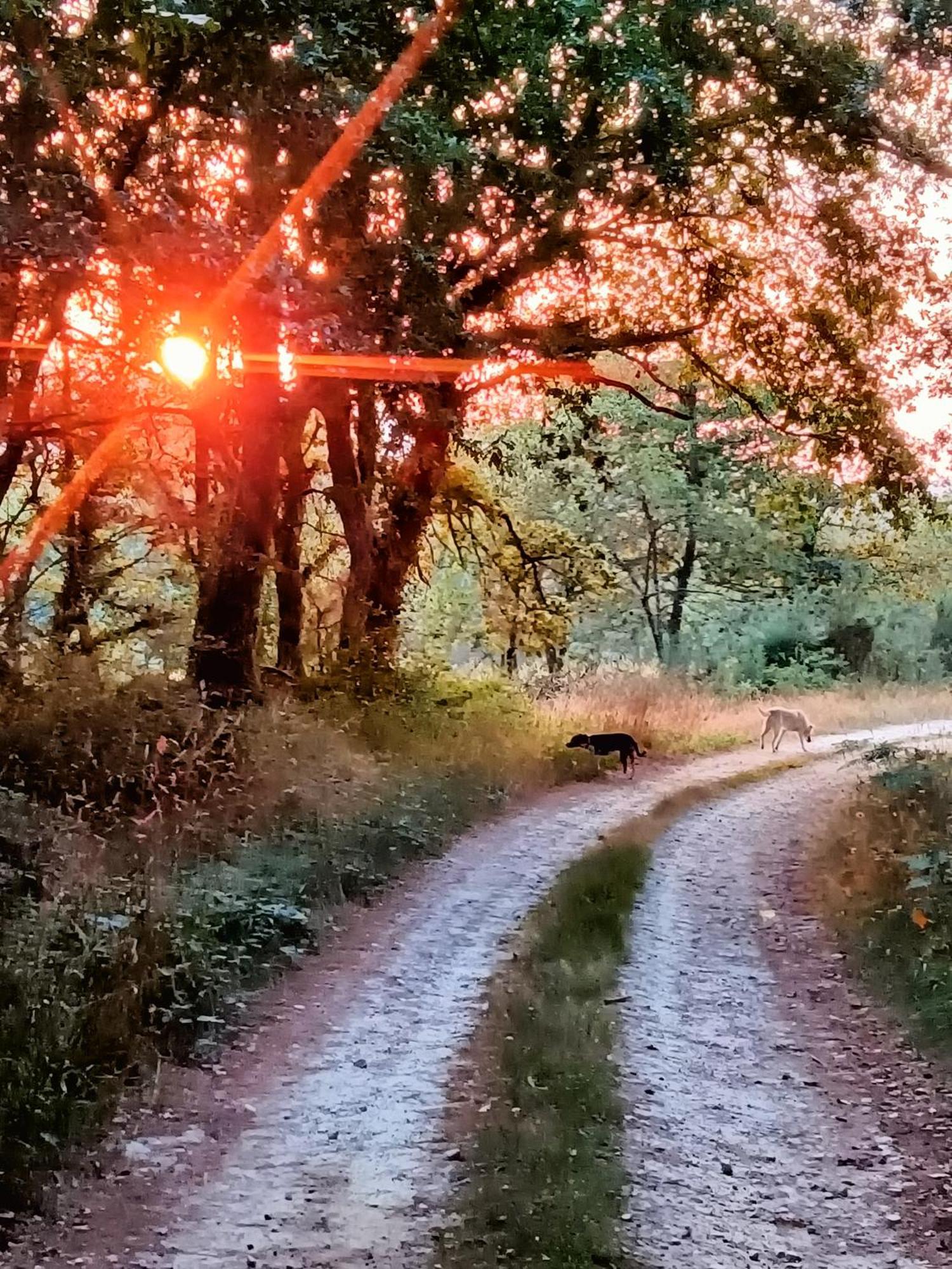 La Casita Сasa de vacaciones *
